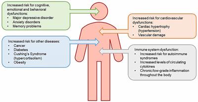 Frontiers | The Hypothalamic-Pituitary-Adrenal Axis: Development ...